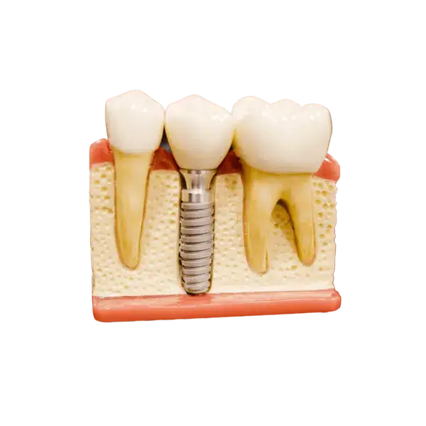 Jonathan borba W9YEY6G8LVM unsplash 1 1 1